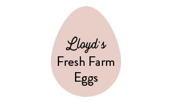Lloyds Fresh Farm Eggs